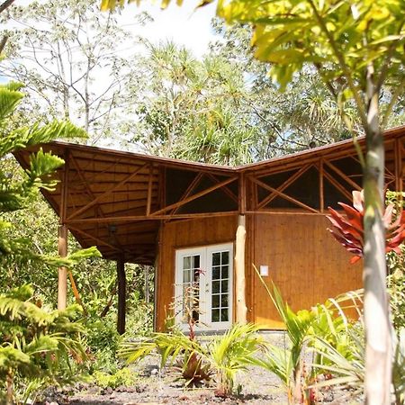 Kalani Oceanside Retreat Villa Pahoa Exterior photo