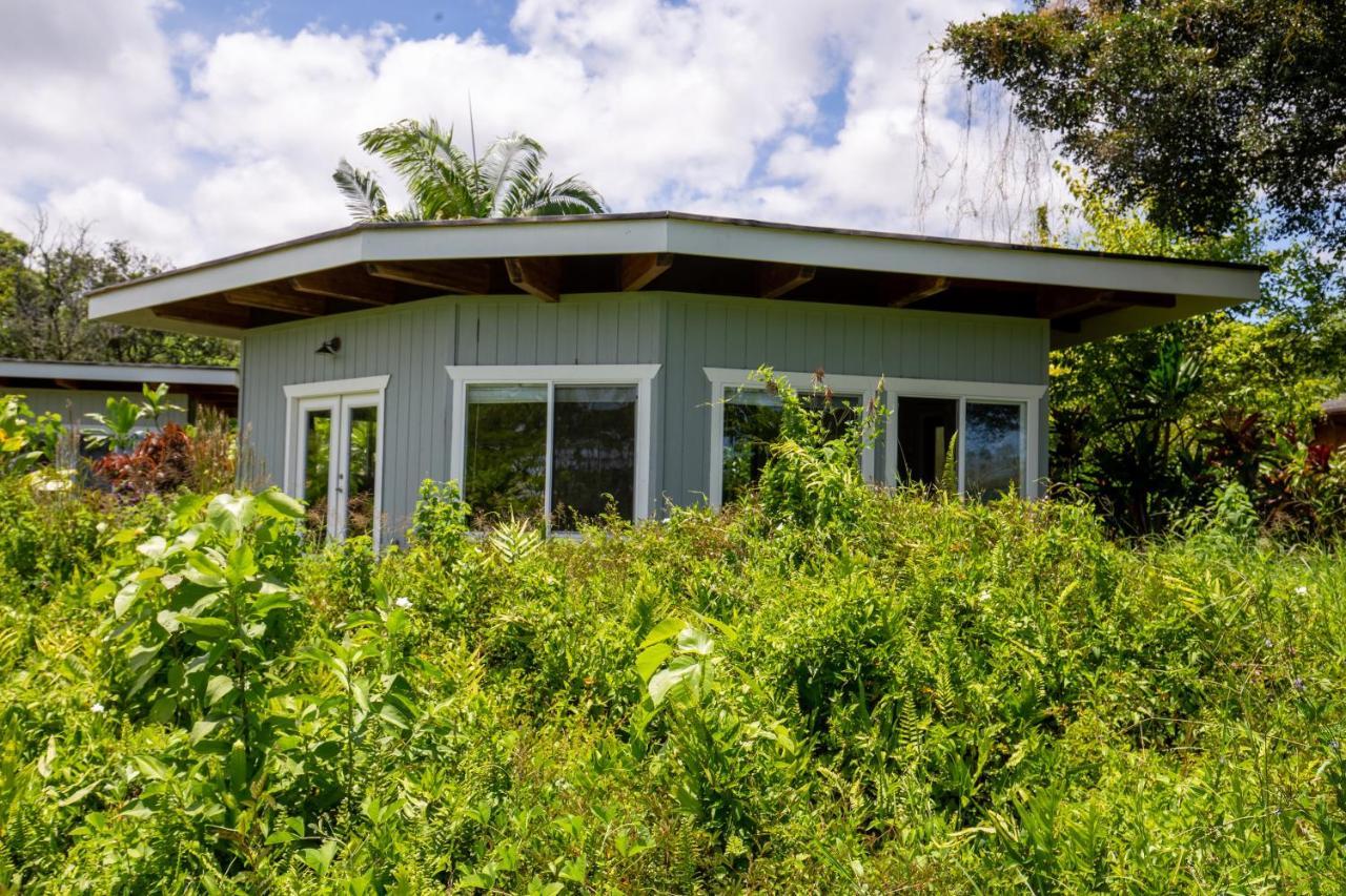 Kalani Oceanside Retreat Villa Pahoa Exterior photo
